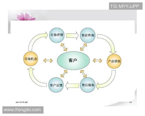 深入分析BLG的运营策略与市场表现的成功之道 深入分析BLG的运营策略与市场表现的成功之道