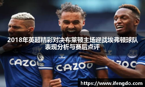 2018年英超精彩对决布莱顿主场迎战埃弗顿球队表现分析与赛后点评